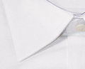 CAMICIA Cotone Tinta Unita Collo Classico Regular Fit